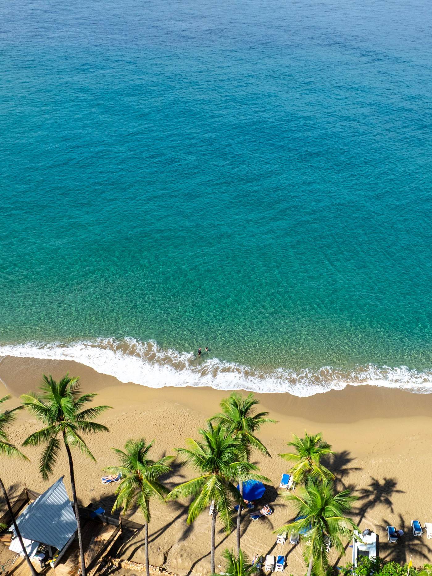 Aerial view of a palm-lined golden beach and turquoise Caribbean water in Sosúa, Puerto Plata, Dominican Republic.