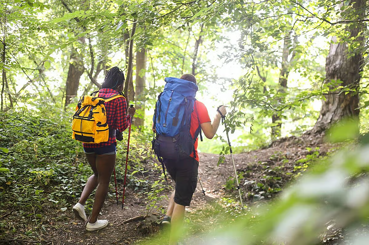Nature Hikes